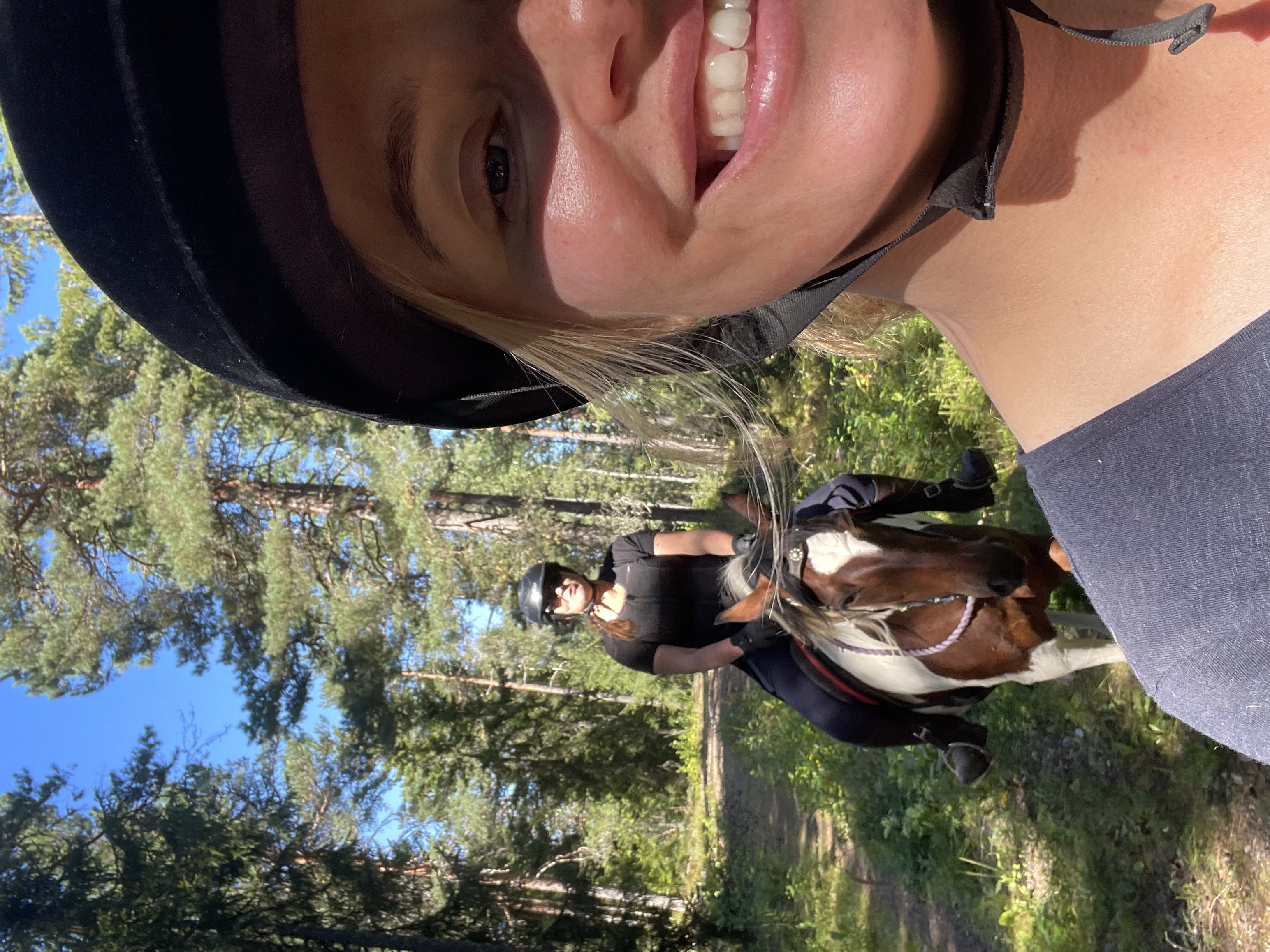 Hest